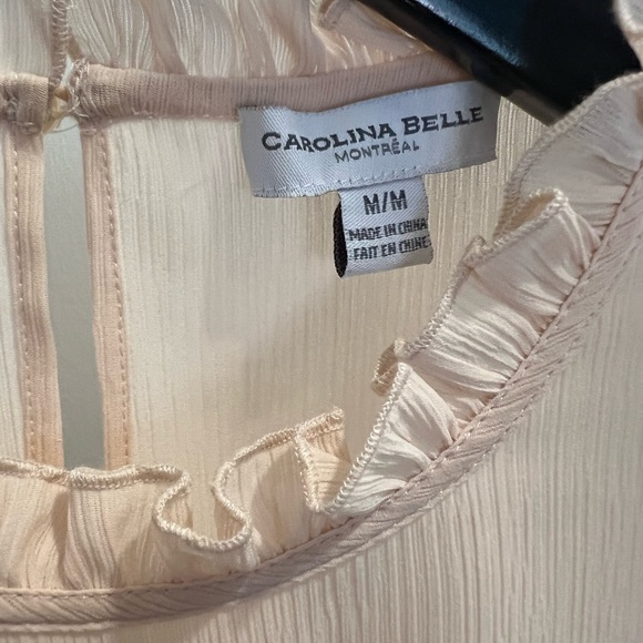 Carolina Belle: Sheer, Blush Blouse - Picture 3 of 4